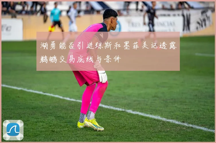 湖勇能否引进琼斯和墨菲美记透露鹈鹕交易底线与条件