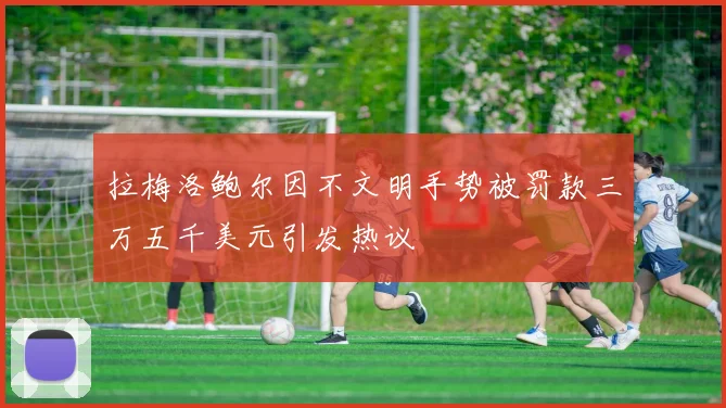 拉梅洛鲍尔因不文明手势被罚款三万五千美元引发热议