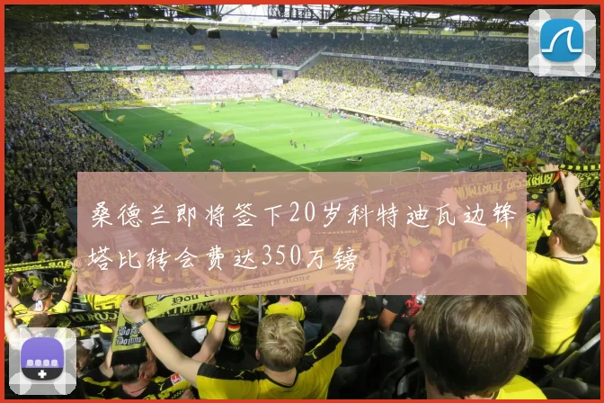 桑德兰即将签下20岁科特迪瓦边锋塔比转会费达350万镑