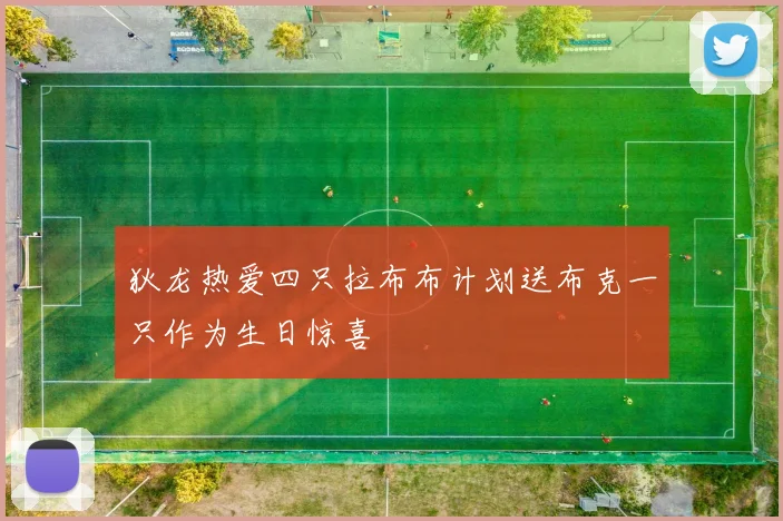 狄龙热爱四只拉布布计划送布克一只作为生日惊喜
