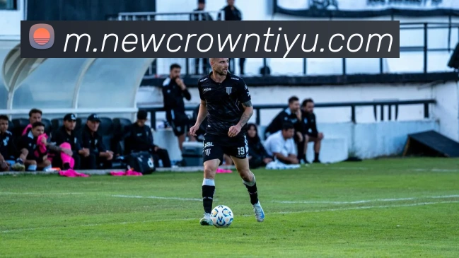 皇冠体育平台生态图