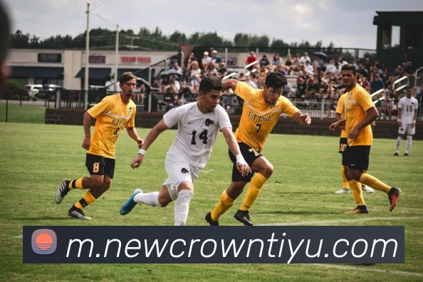 皇冠体育全站App